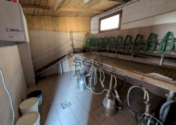 Foto 9 - Laboratorio Trambileno - foto 9