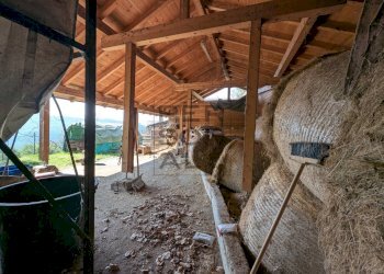 Foto 11 - Laboratorio Trambileno - foto 11