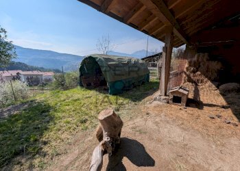 Foto 14 - Laboratorio Trambileno - foto 14