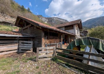 Foto 16 - Laboratorio Trambileno - foto 16