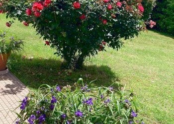 Foto 34 - Rustico Reg Vivello
 
10, Spigno Monferrato - foto 34