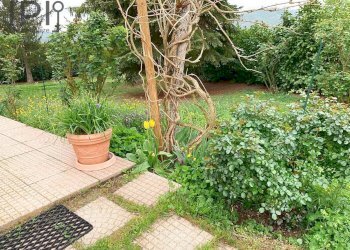 Foto 36 - Rustico Reg Vivello
 
10, Spigno Monferrato - foto 36