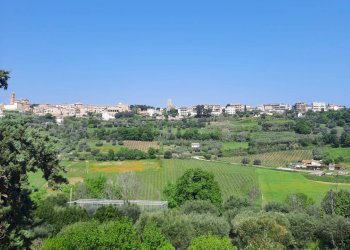 Foto 16 - Independent house c.da Marina, Campofilone - photo 16