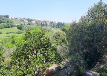 Foto 17 - Independent house c.da Marina, Campofilone - photo 17