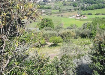 Foto 18 - Independent house c.da Marina, Campofilone - photo 18