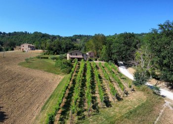 Foto 9 - Rustico Gualdo - foto 9