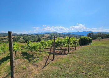 Foto 11 - Rustico Gualdo - foto 11