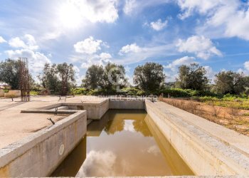 Foto 35 - Baita Contrada Deserto
 
Snc, Ostuni - foto 35