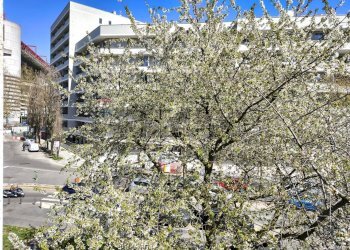 Edificio all\'aperto - Quadrilocale Via Capecelatro
 
91, Milano - foto 38
