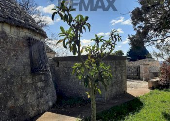 Giardino - Baita Strada Provinciale Locorotondo-Cisternino
 
SNC, Locorotondo - foto 2