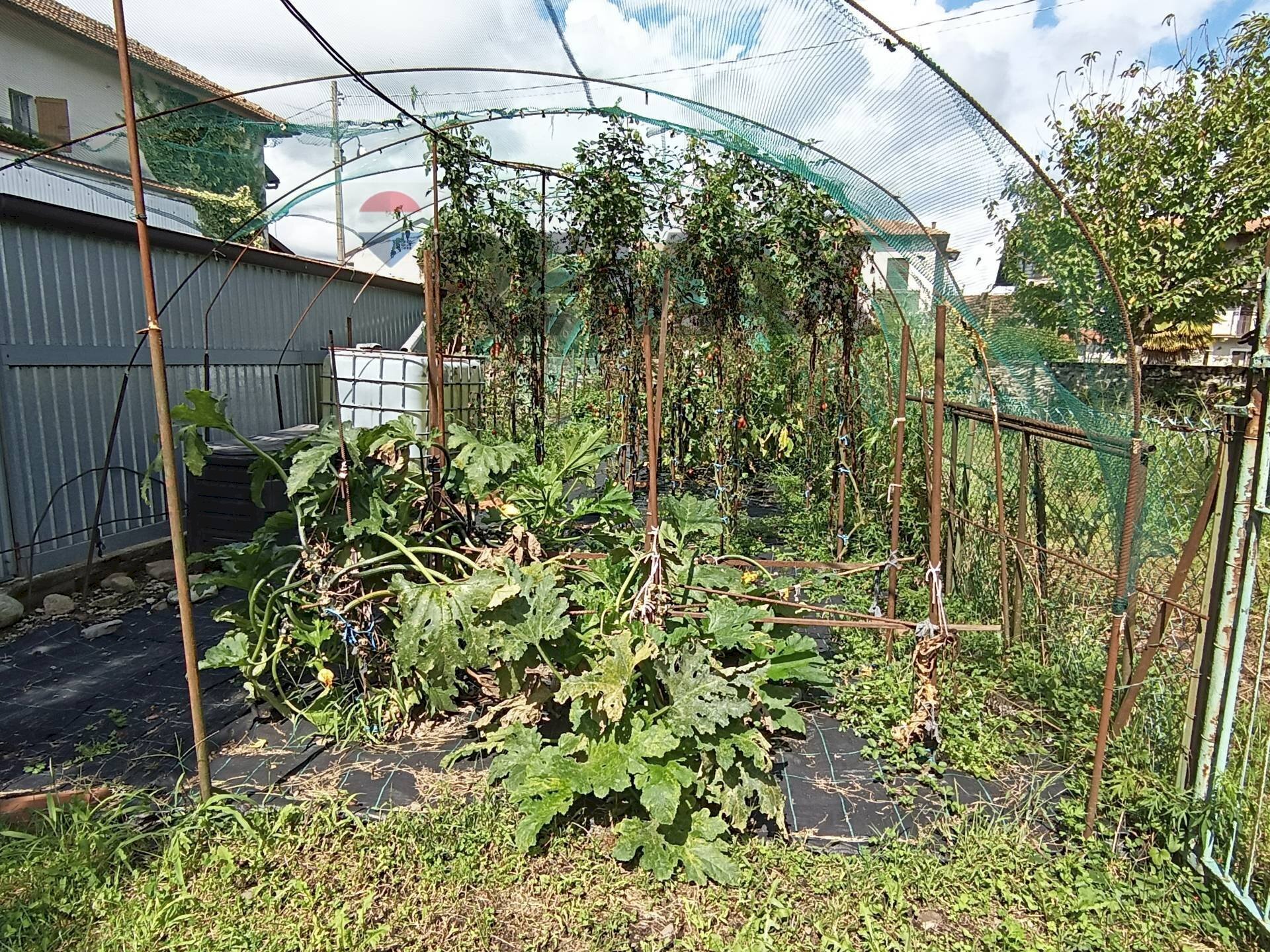 Giardino - Trilocale Gozzano - foto 3