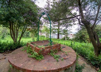 Giardino - Villa via palmitello, Carini - foto 71