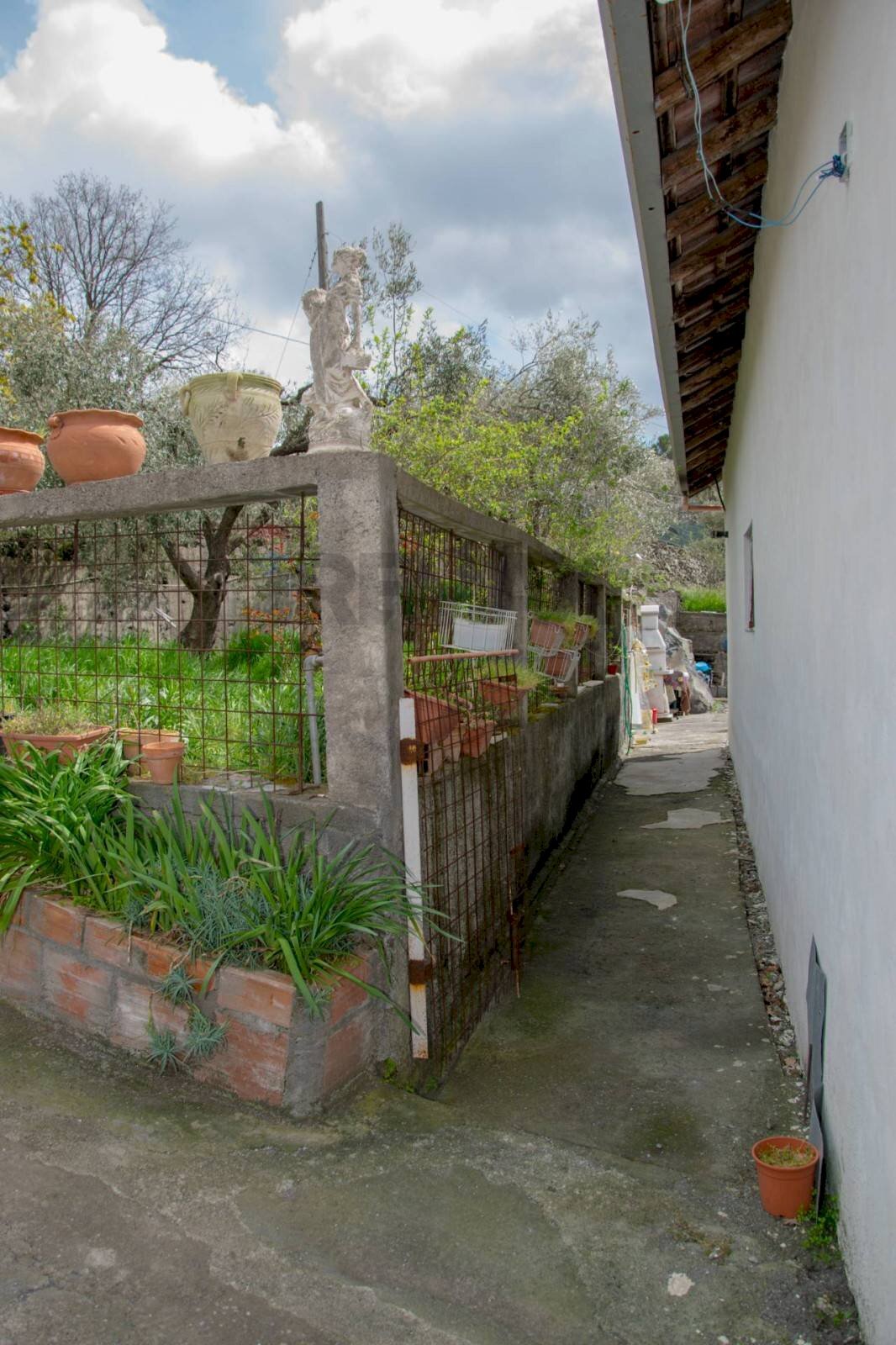 Giardino - Villa strada comunale segreta
 
61, Belpasso - foto 3