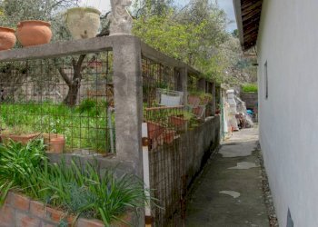 Giardino - Villa strada comunale segreta
 
61, Belpasso - foto 3