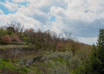 Vista delle montagne - Villa strada comunale segreta
 
61, Belpasso - foto 10