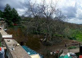 Giardino - Villa strada comunale segreta
 
61, Belpasso - foto 19