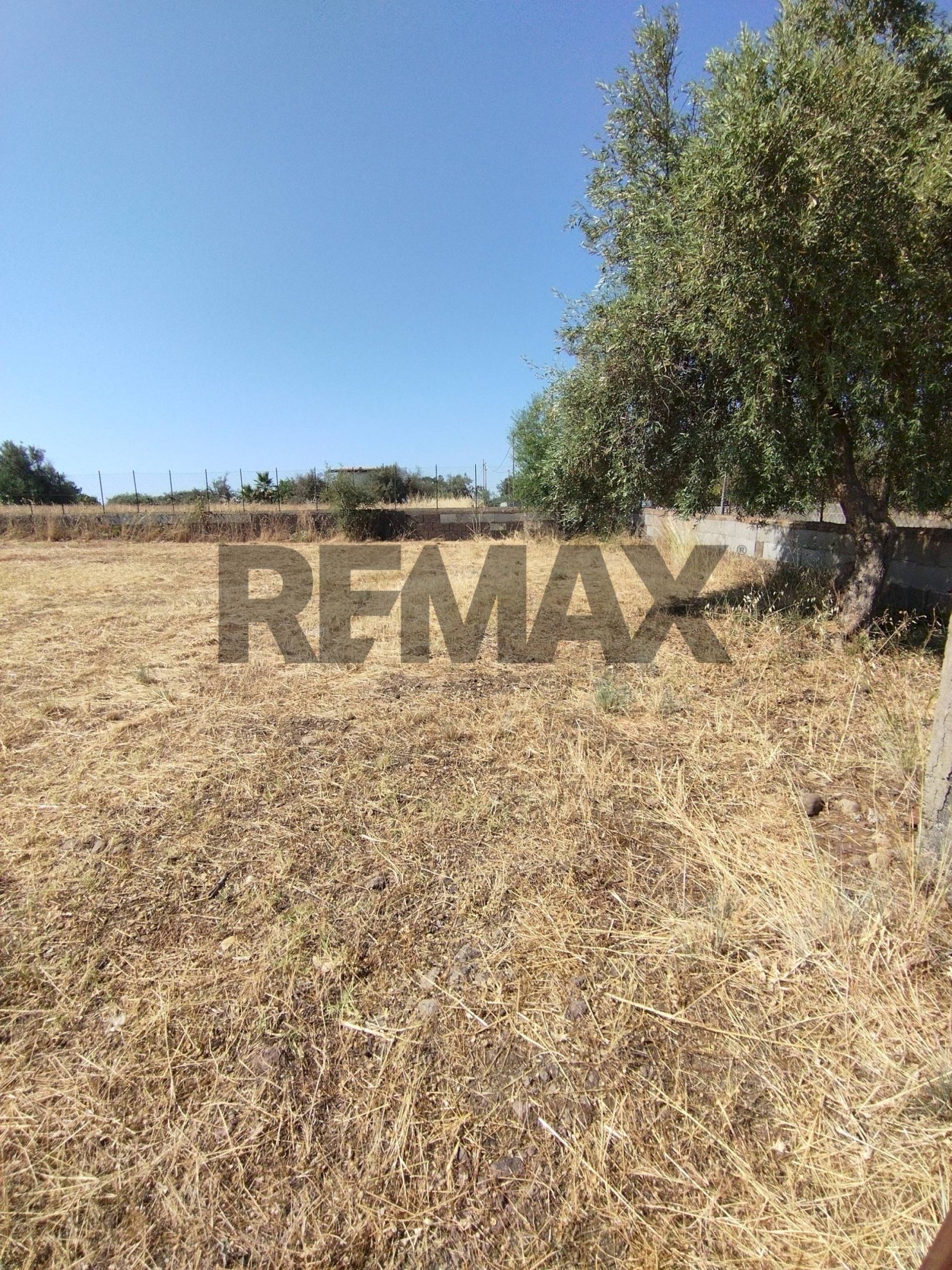 Giardino - Terreno edificabile Via Salso
 
5, Motta Sant'Anastasia - foto 3