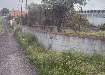 Giardino - Terreno edificabile Via Salso
5, Motta Sant'Anastasia - foto 1