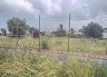 Giardino - Terreno edificabile Via Salso
5, Motta Sant'Anastasia - foto 4