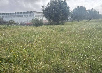 Giardino - Terreno edificabile Via Salso
5, Motta Sant'Anastasia - foto 5