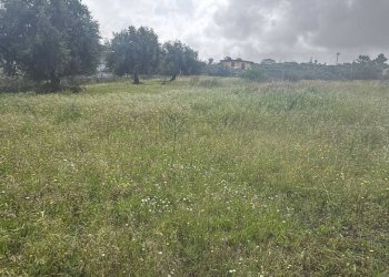 Giardino - Terreno edificabile Via Salso
5, Motta Sant'Anastasia - foto 6