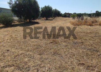 Giardino - Terreno edificabile Via Salso
 
5, Motta Sant'Anastasia - foto 1
