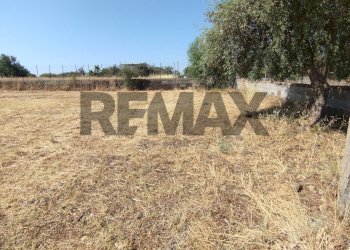 Giardino - Terreno edificabile Via Salso
 
5, Motta Sant'Anastasia - foto 3