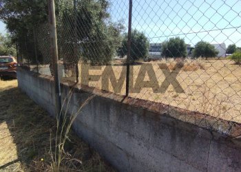 Giardino - Terreno edificabile Via Salso
 
5, Motta Sant'Anastasia - foto 8