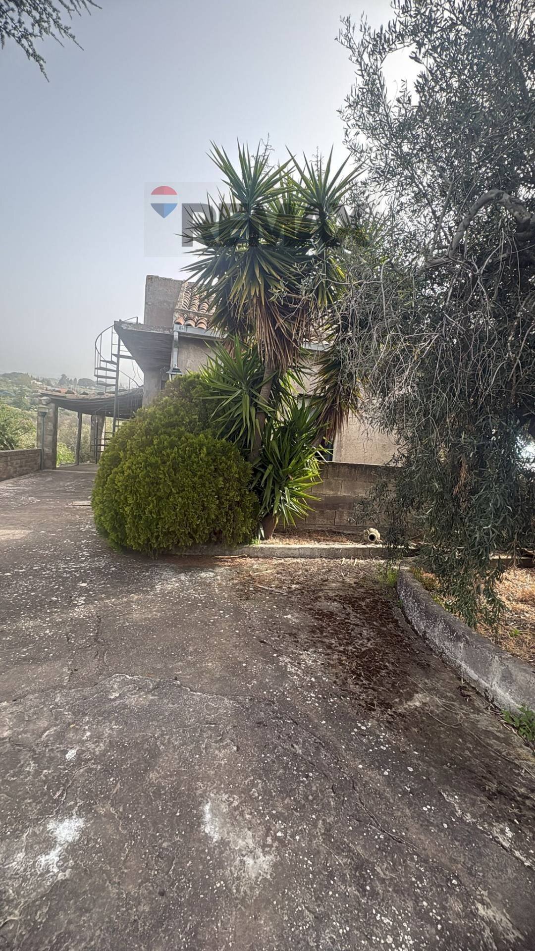 Giardino - Casa indipendente Via Cavaliere Bosco, Santa Maria di Licodia - foto 1