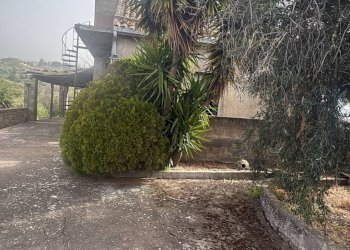 Giardino - Casa indipendente Via Cavaliere Bosco, Santa Maria di Licodia - foto 1