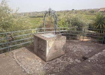 Giardino - Casa indipendente Via Cavaliere Bosco, Santa Maria di Licodia - foto 11