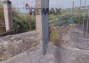 Dettagli - Casa indipendente Via Cavaliere Bosco, Santa Maria di Licodia - foto 17