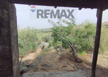 Giardino - Casa indipendente Via Cavaliere Bosco, Santa Maria di Licodia - foto 23