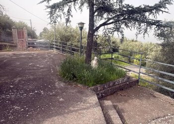 Giardino - Casa indipendente Via Cavaliere Bosco, Santa Maria di Licodia - foto 28