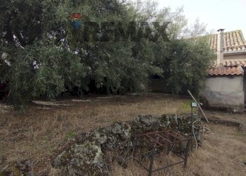 Giardino - Casa indipendente Via Cavaliere Bosco, Santa Maria di Licodia - foto 29