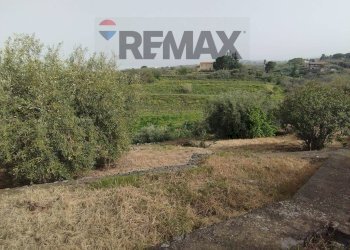 Giardino - Casa indipendente Via Cavaliere Bosco, Santa Maria di Licodia - foto 36