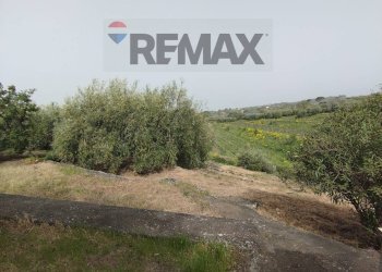 Giardino - Casa indipendente Via Cavaliere Bosco, Santa Maria di Licodia - foto 37