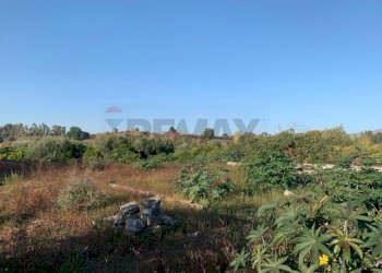 Non correlato - Terreno agricolo via cubisia
 
snc, Aci Catena - foto 7