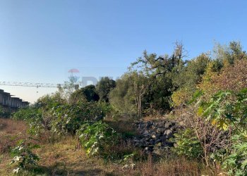 Giardino - Terreno agricolo via cubisia
 
snc, Aci Catena - foto 12