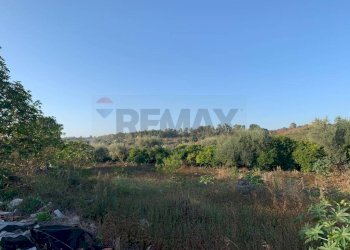 Edificio all\'aperto - Terreno agricolo via cubisia
 
snc, Aci Catena - foto 14