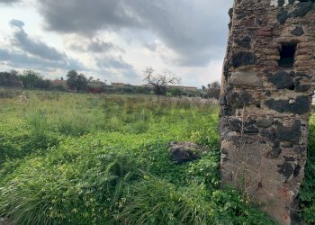 Giardino - Terreno edificabile c.da porticatazzo, Motta Sant'Anastasia - foto 4