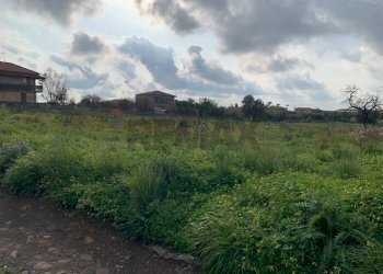 Giardino - Terreno edificabile c.da porticatazzo, Motta Sant'Anastasia - foto 5