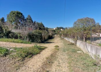 Giardino - Villa Contrada Curcio/Staglio
 
snc, Enna - foto 3