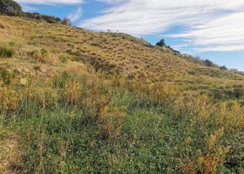 Vista delle montagne - Terreno edificabile CONTRADA GRIMAUDO, Castelmola - foto 12