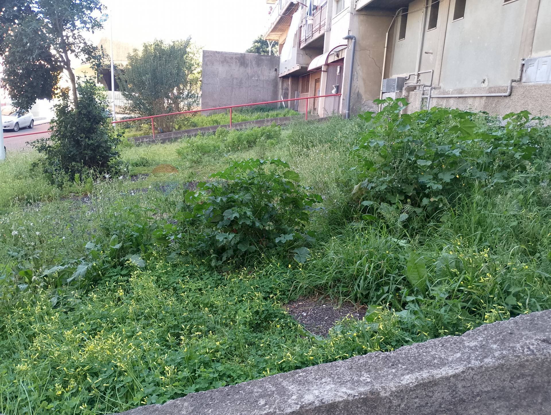 Giardino - Trilocale Via zia lisa
 
117, Catania - foto 1