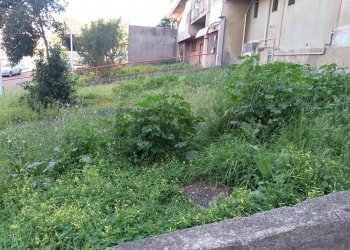 Giardino - Trilocale Via zia lisa
 
117, Catania - foto 1