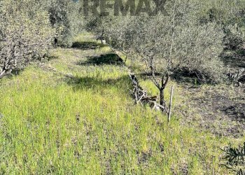 Non correlato - Rustico Via Tuzzonello, Sant'Alfio - foto 12