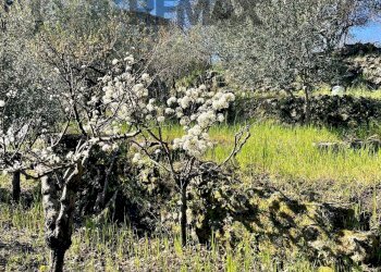 Vista delle montagne - Rustico Via Tuzzonello, Sant'Alfio - foto 14