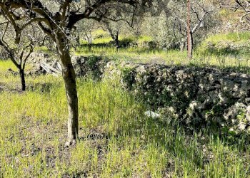 Giardino - Rustico Via Tuzzonello, Sant'Alfio - foto 15