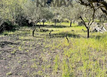 Giardino - Rustico Via Tuzzonello, Sant'Alfio - foto 19